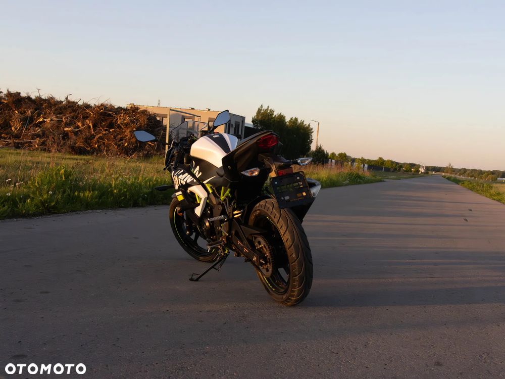 Kawasaki Ninja - 6