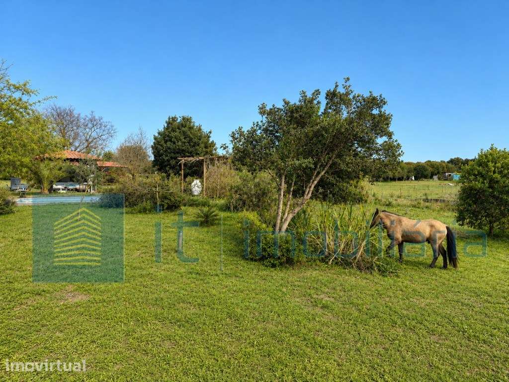 Monte alentejano / Quinta / Herdade - Grande imagem: 4/49