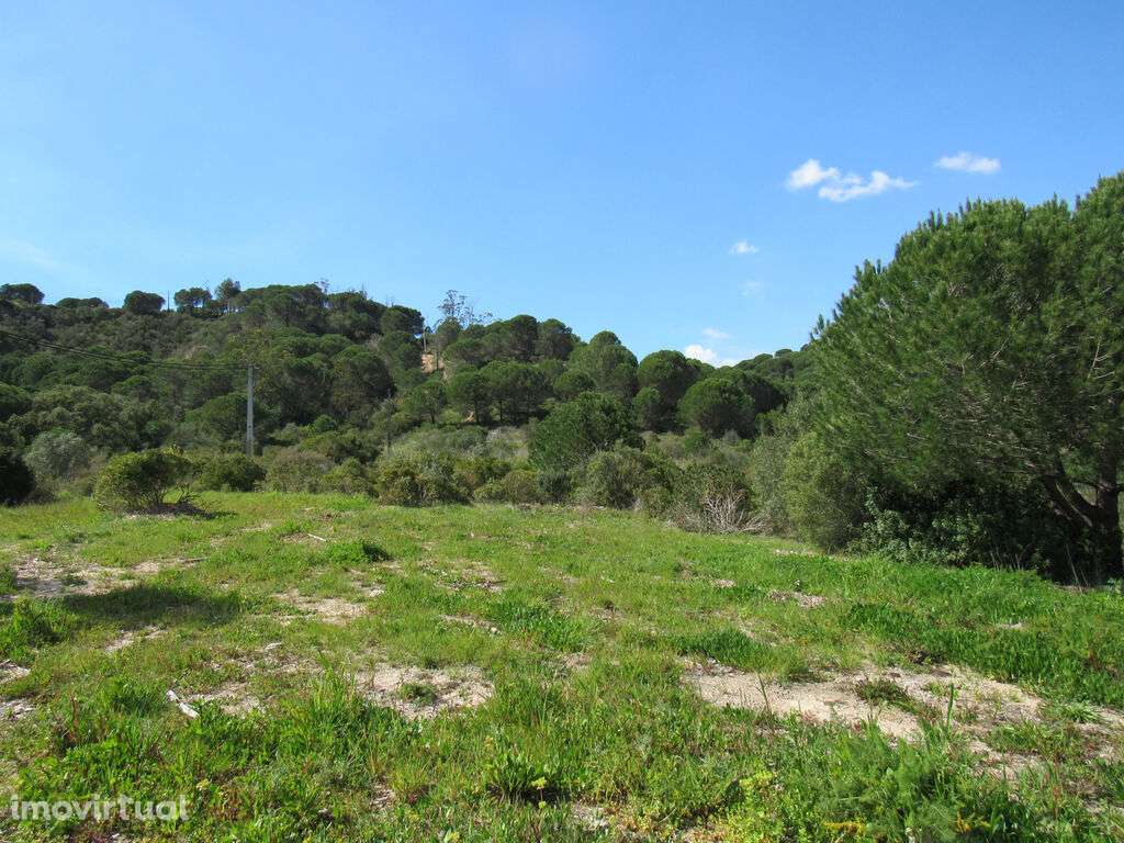 Terreno Rústico de 46.250 m2 em Azeitão – Natureza e Potencial em Harm - Grande imagem: 2/7