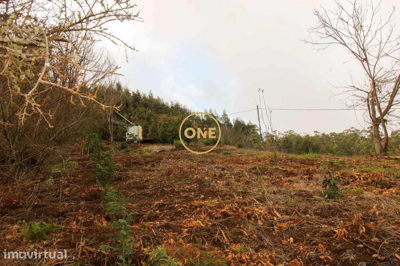 Terreno 600m2 - Grande imagem: 4/7