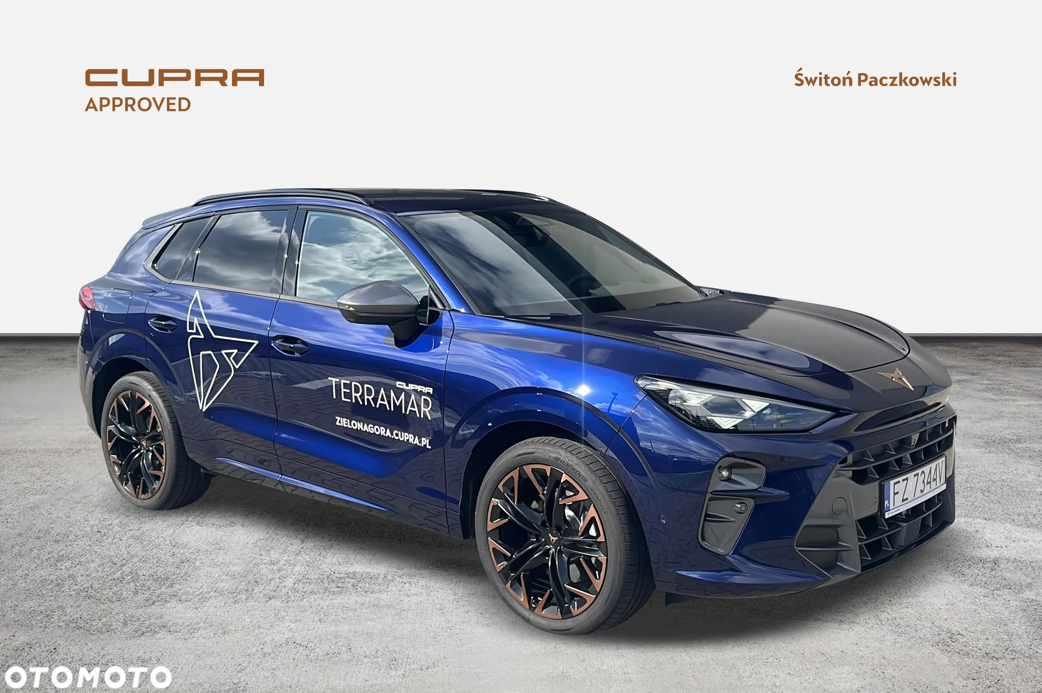 Cupra Terramar 2.0 TSI 4Drive Advantage Edition DCC DSG - 7
