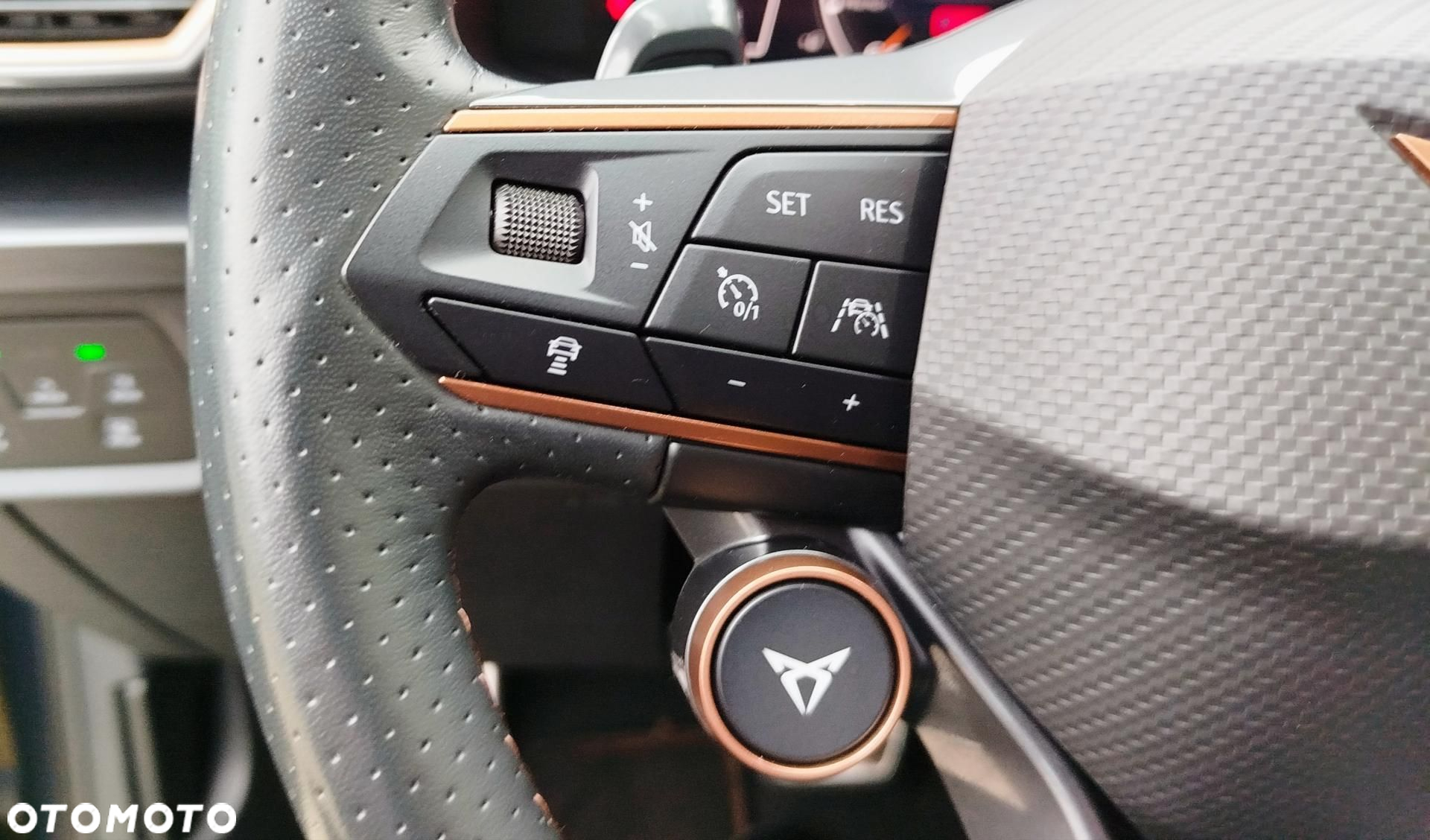 Cupra Formentor - 17