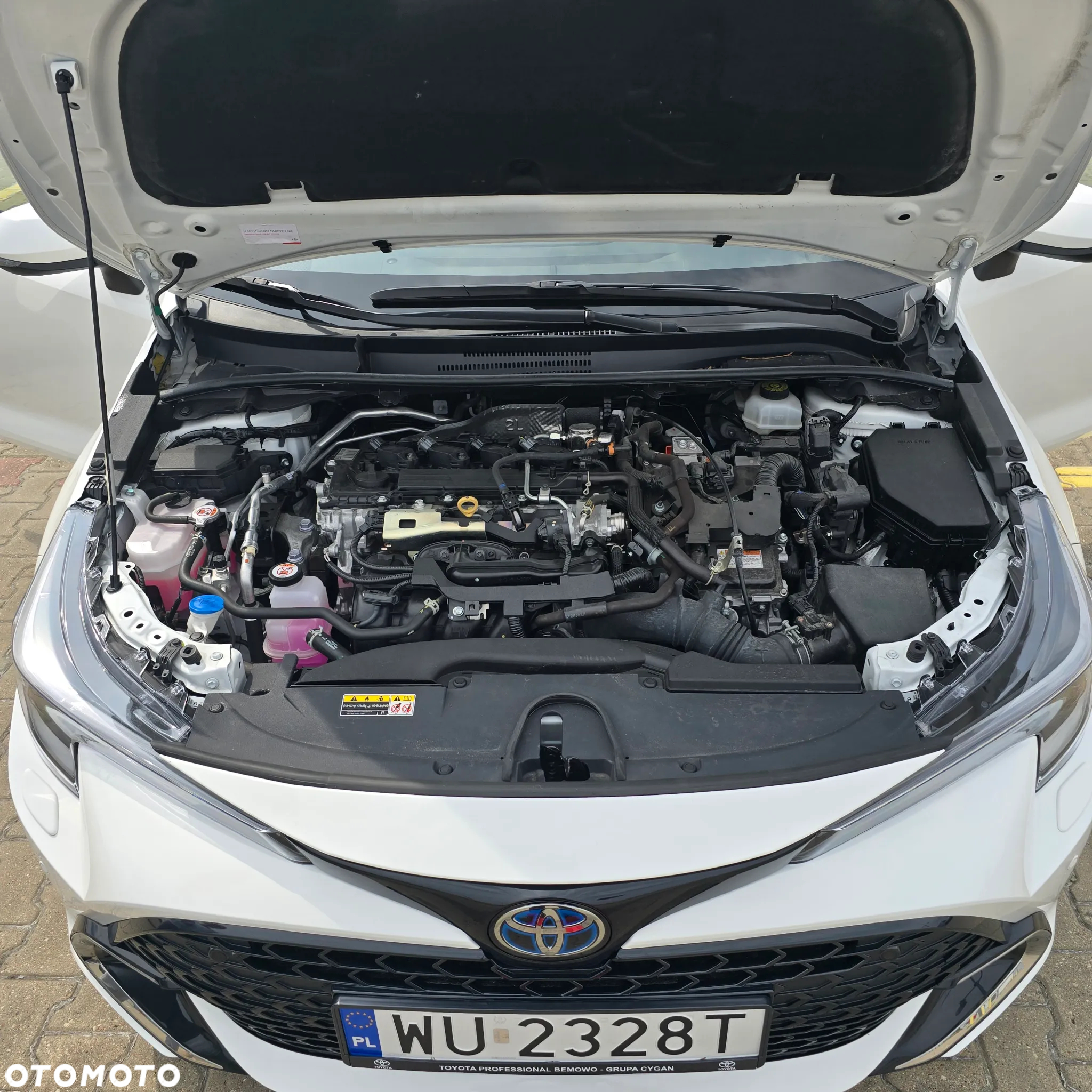 Toyota Corolla - 26