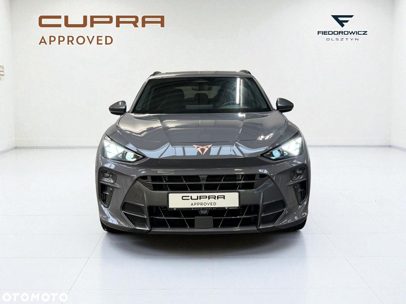 Cupra Terramar 2.0 TSI 4Drive VZ DSG - 13