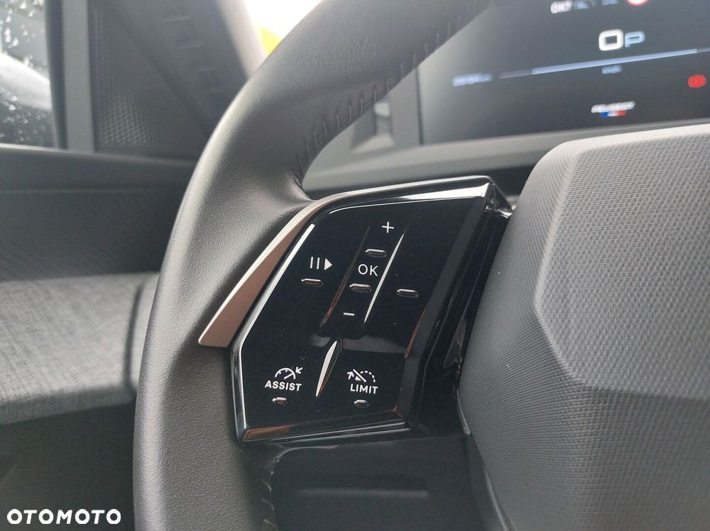 Peugeot 3008 - 17