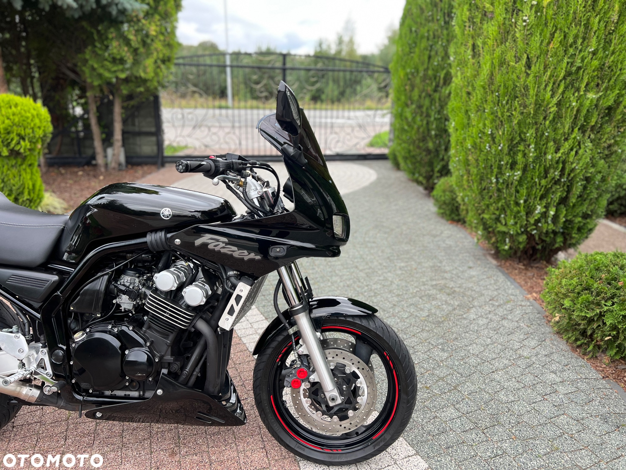 Yamaha FZS - 5