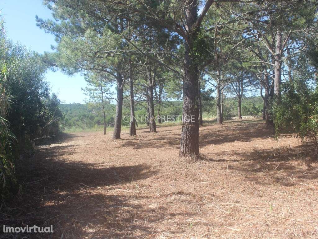 Terreno urbano com 1500m2 em Janas - Grande imagem: 2/9