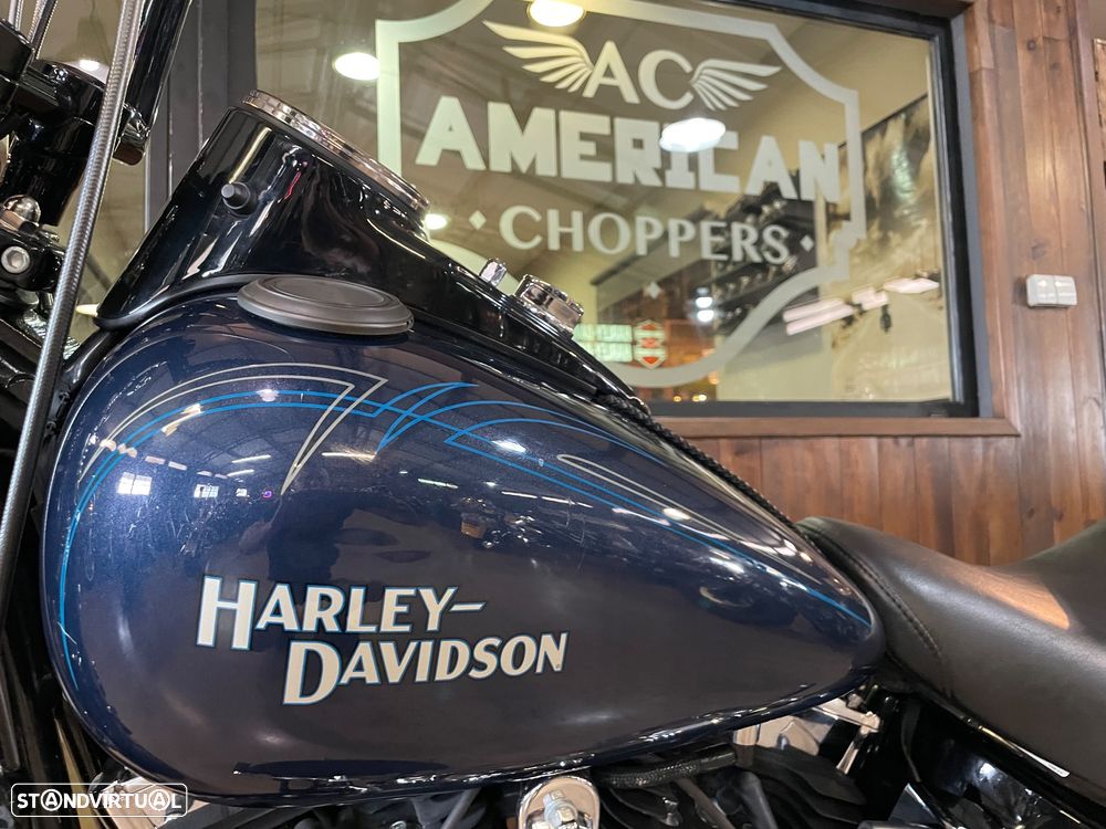 Harley-Davidson FLSTS Crossbones - 16
