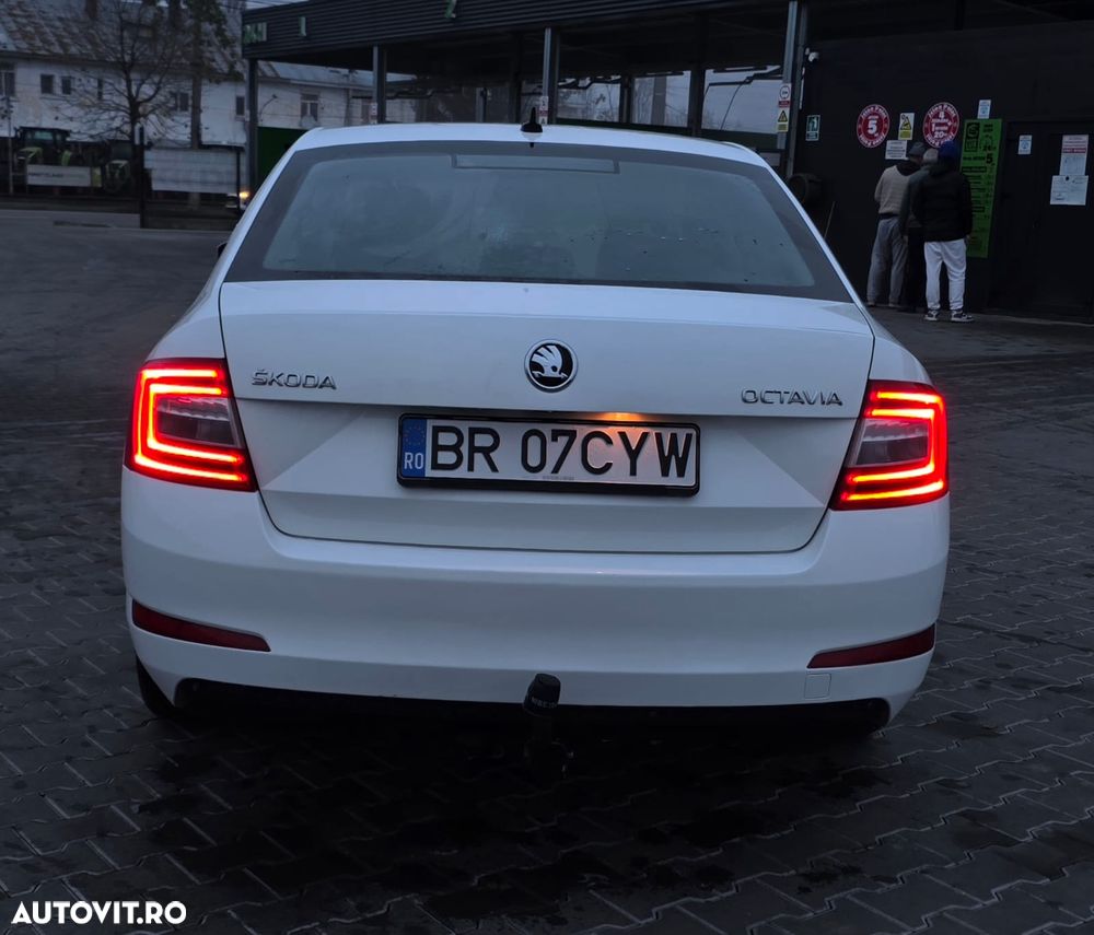 Skoda Octavia 2.0 TDI Green tec Edition - 19
