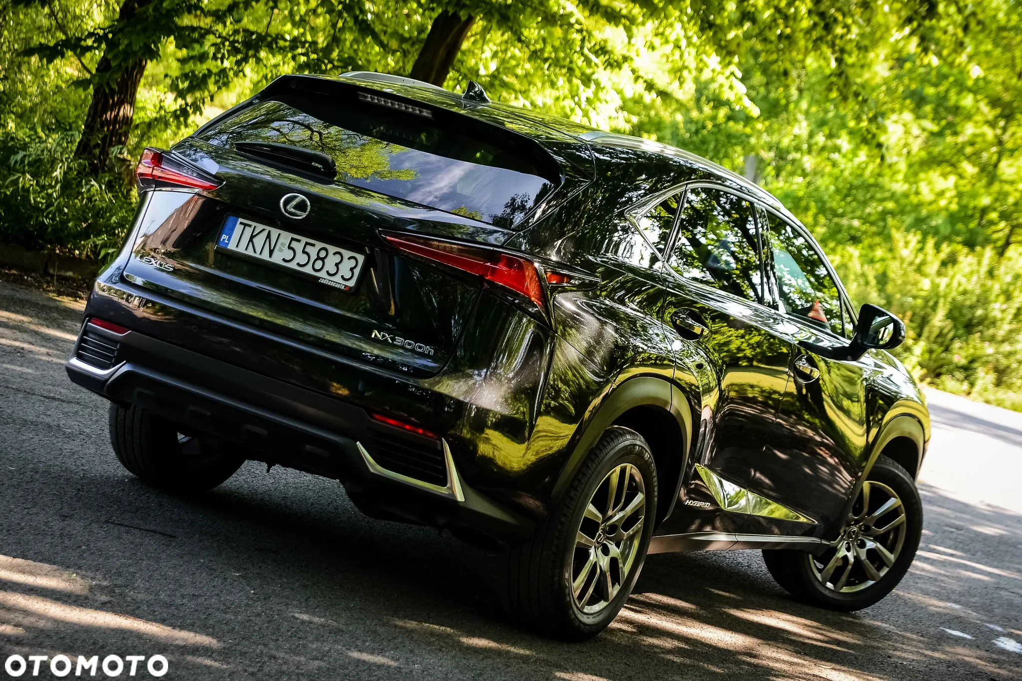 Lexus NX 300h Prestige AWD - 2