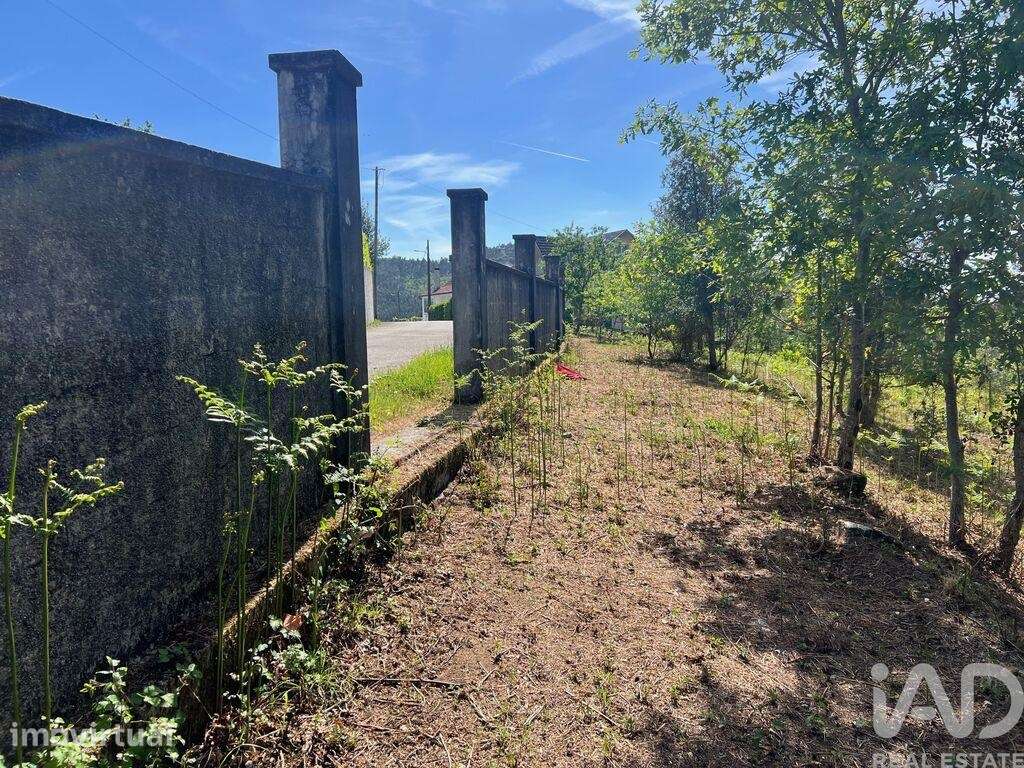 Terreno para construção em Santa Cruz da Trapa e São Cristóvão de Lafõ - Grande imagem: 2/13