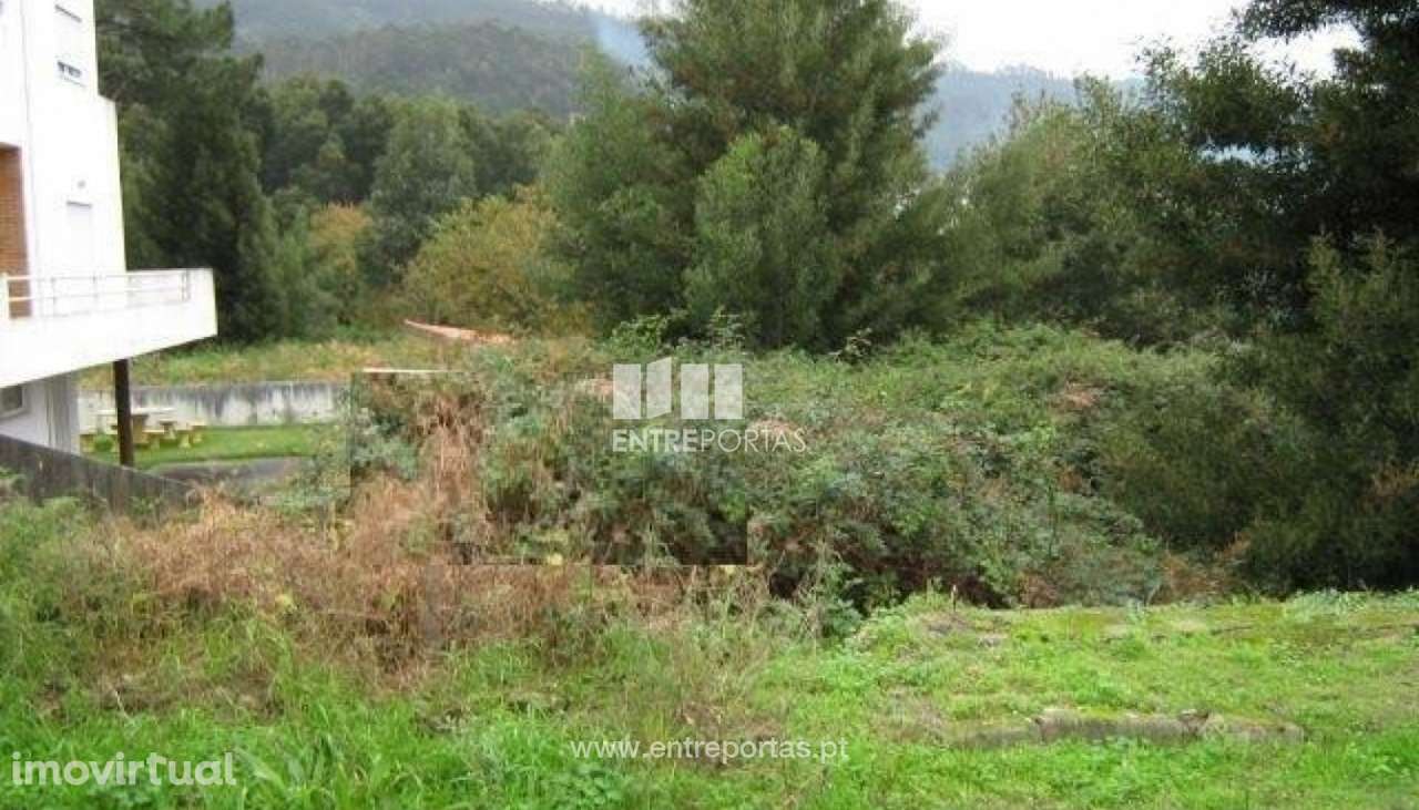 Lote - Afife - Grande imagem: 2/2