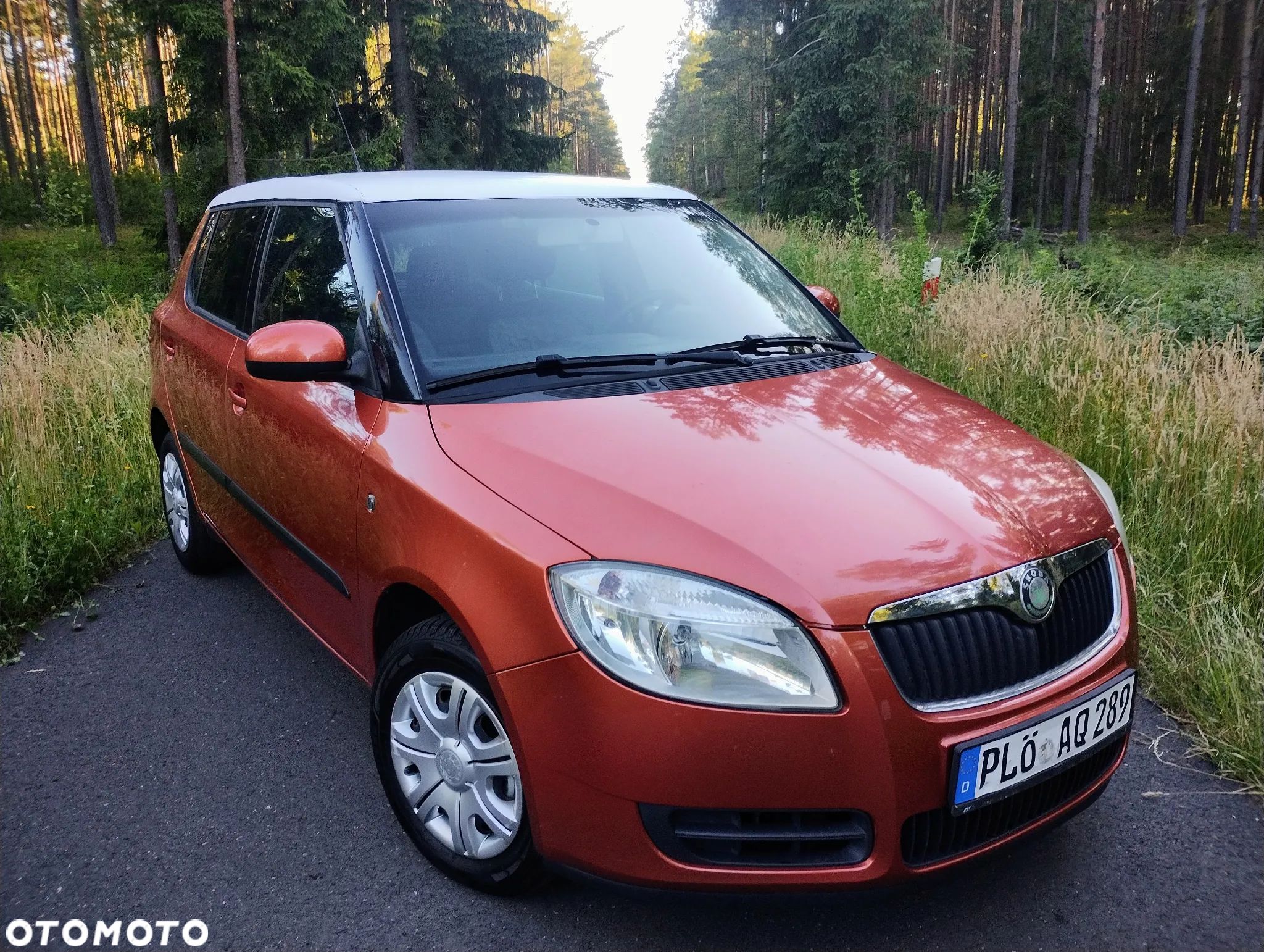 Skoda Fabia - 1