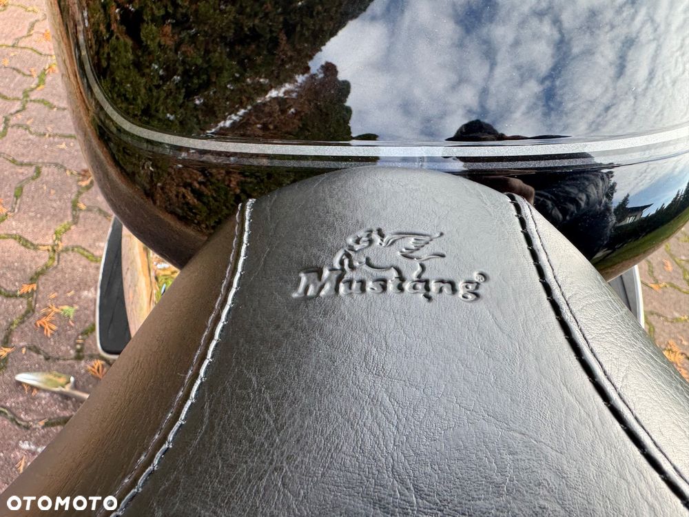 Yamaha Drag Star - 32