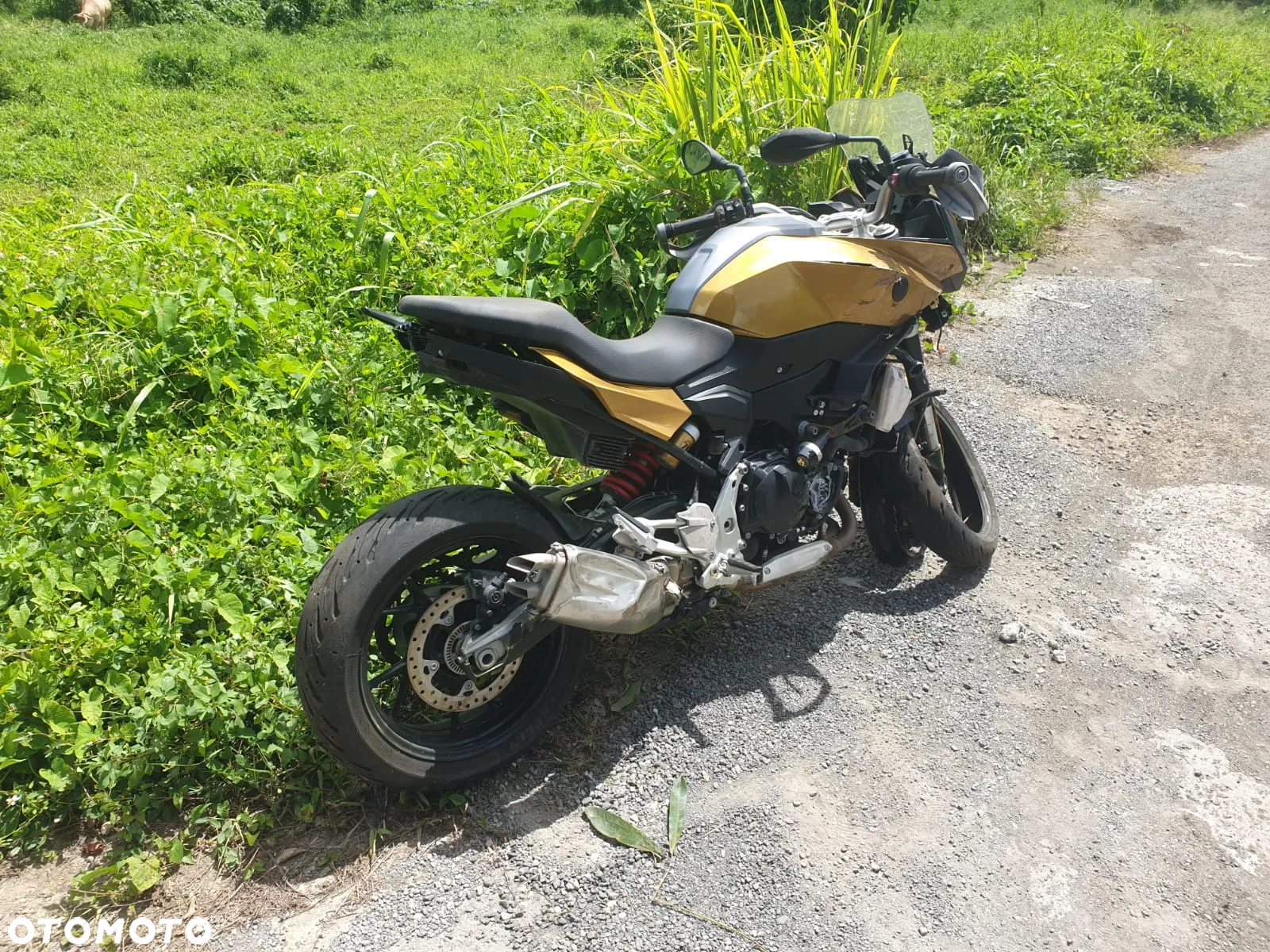 BMW F