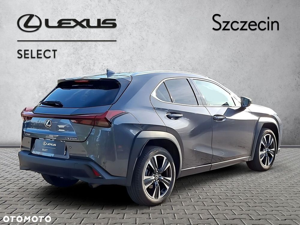 Lexus UX 250h GPF Business 2WD - 5