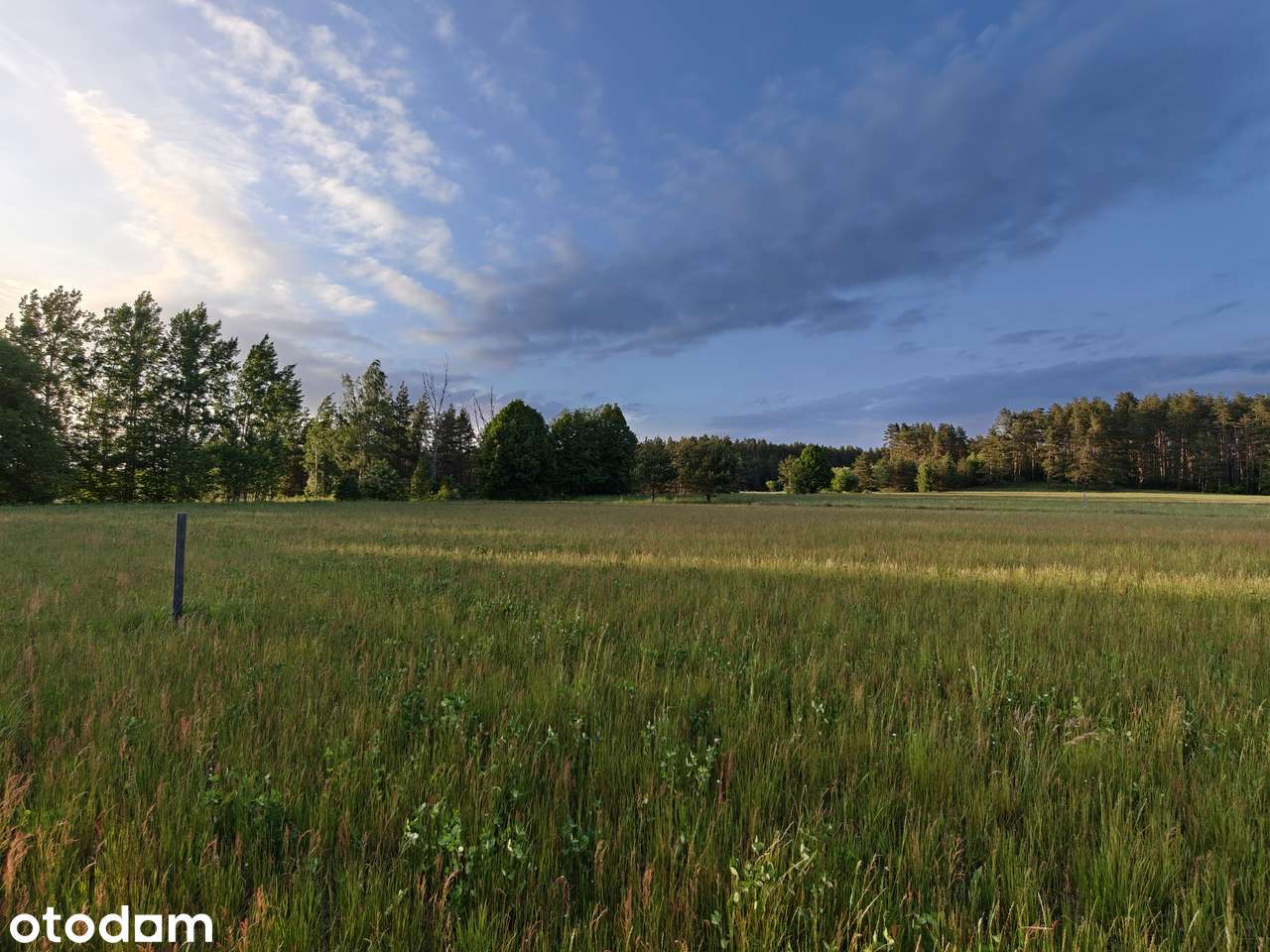 Działka rolna na Mazurach o pow. 0,30 ha - Pełny obrazek: 2/11