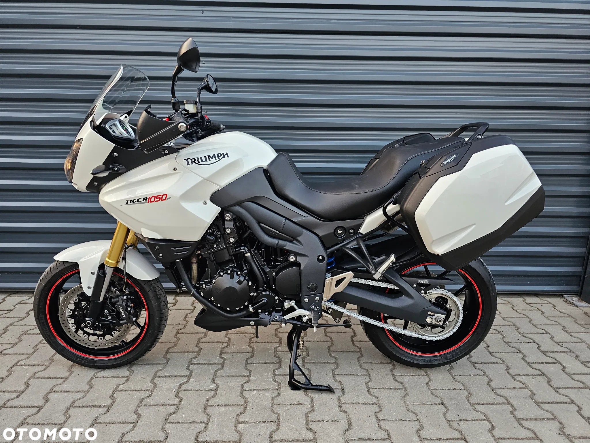 Triumph Tiger - 4
