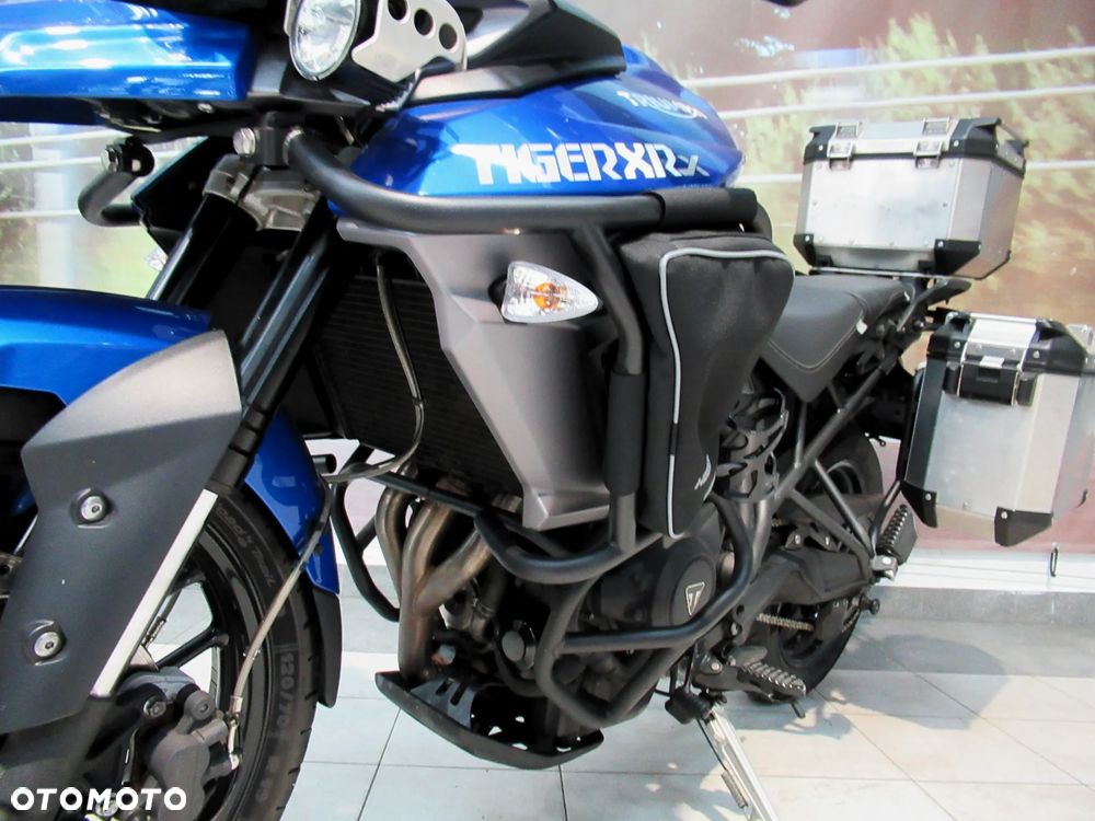 Triumph Tiger - 10