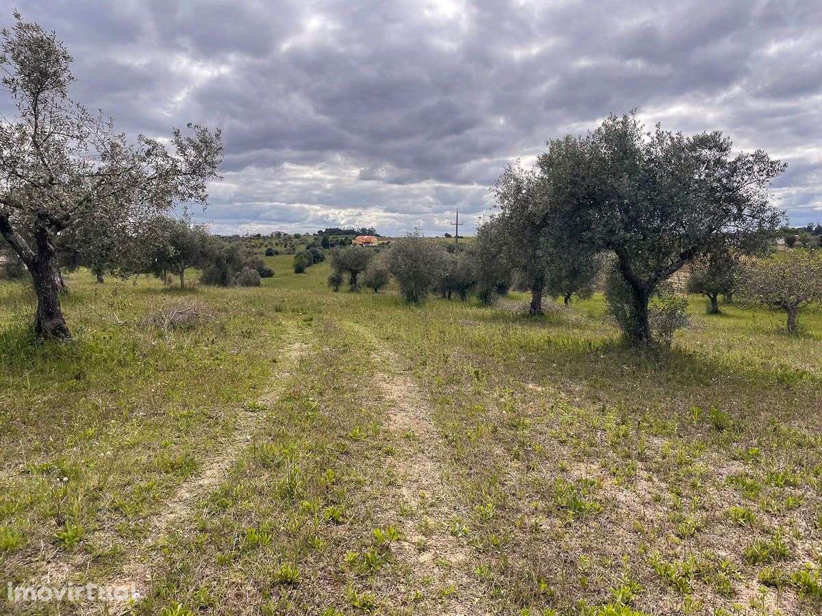 Terreno - Grande imagem: 2/5