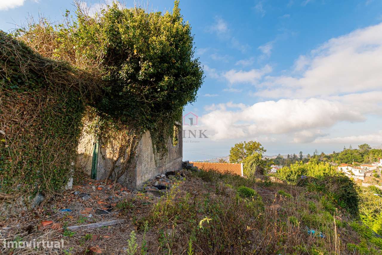 Prédio Misto com Ruínas - Funchal - Grande imagem: 4/15