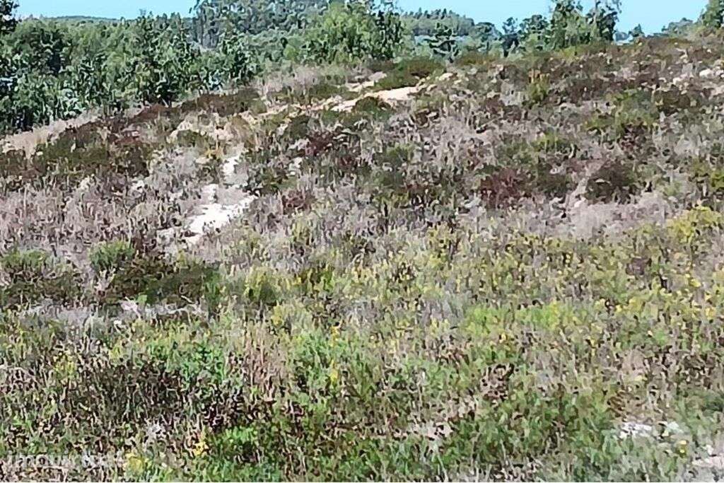 Venda de terreno urbano para construção com 26.000m2, em Ameal, Torr - Grande imagem: 5/21