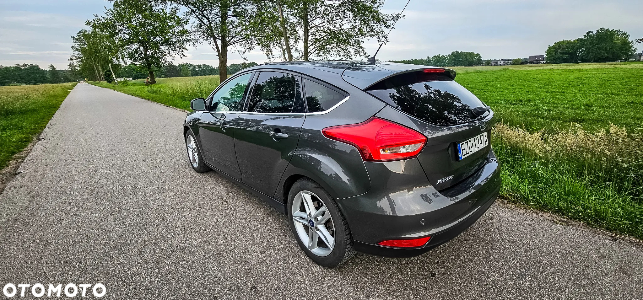 Ford Focus 1.6 Trend Sport - 25