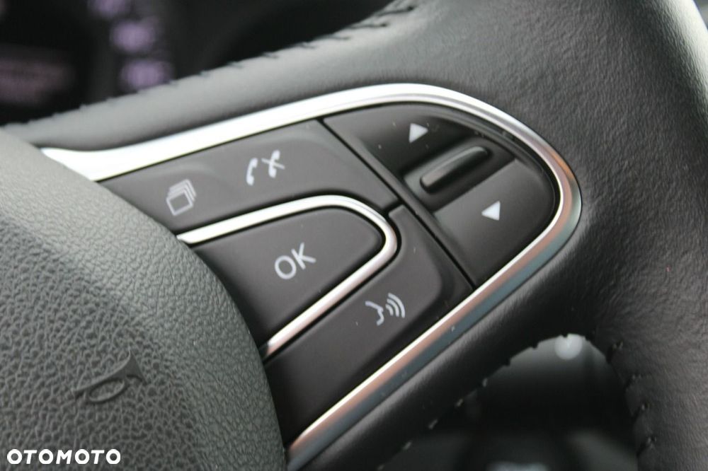 Renault Megane - 18