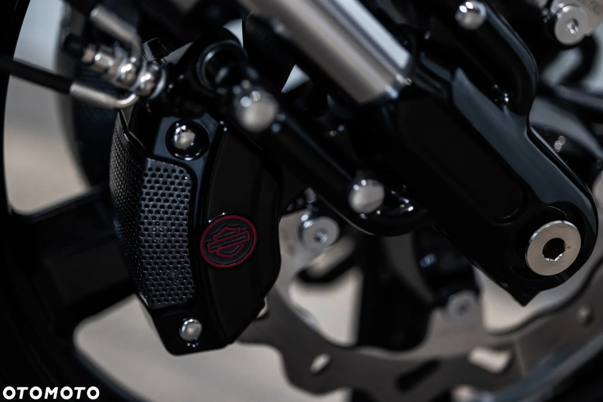 Harley-Davidson V-Rod Muscle - 18