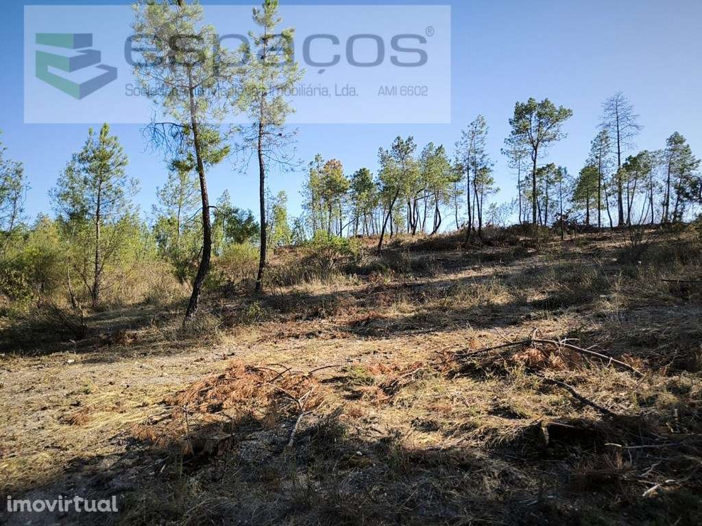 Terreno com bons acessos - S. Domingos - Grande imagem: 2/9