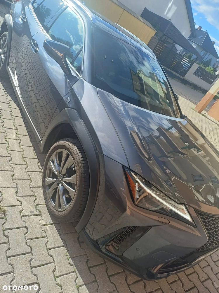 Lexus UX 250h GPF F Sport 2WD - 4