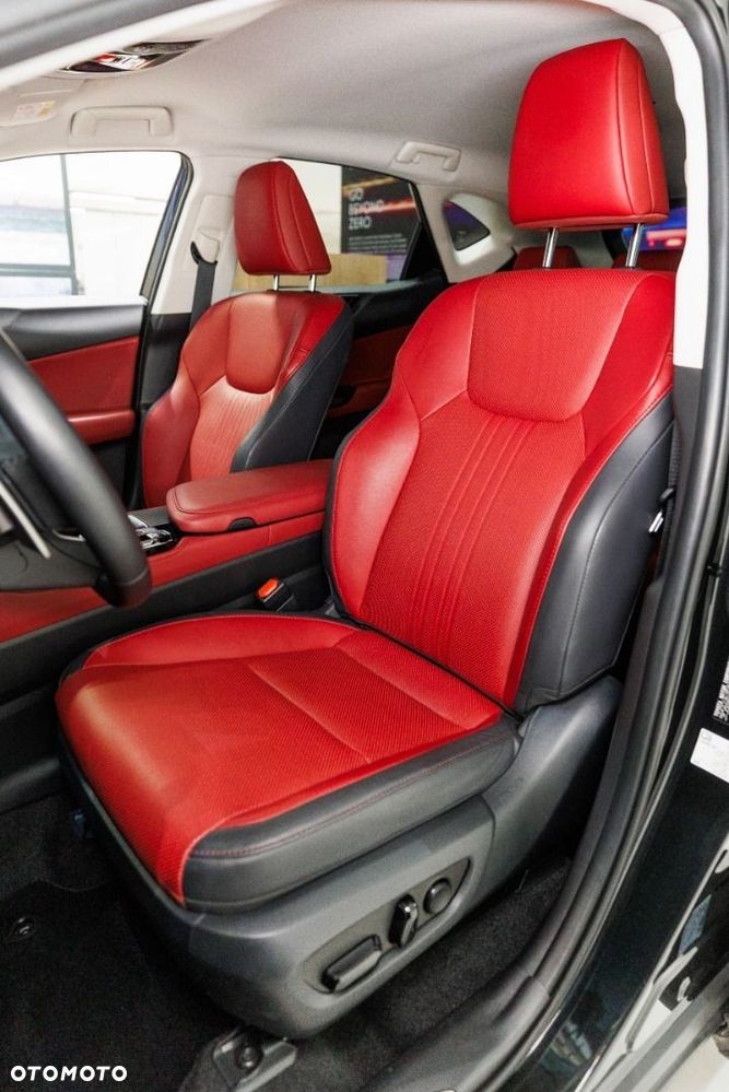 Lexus NX - 10