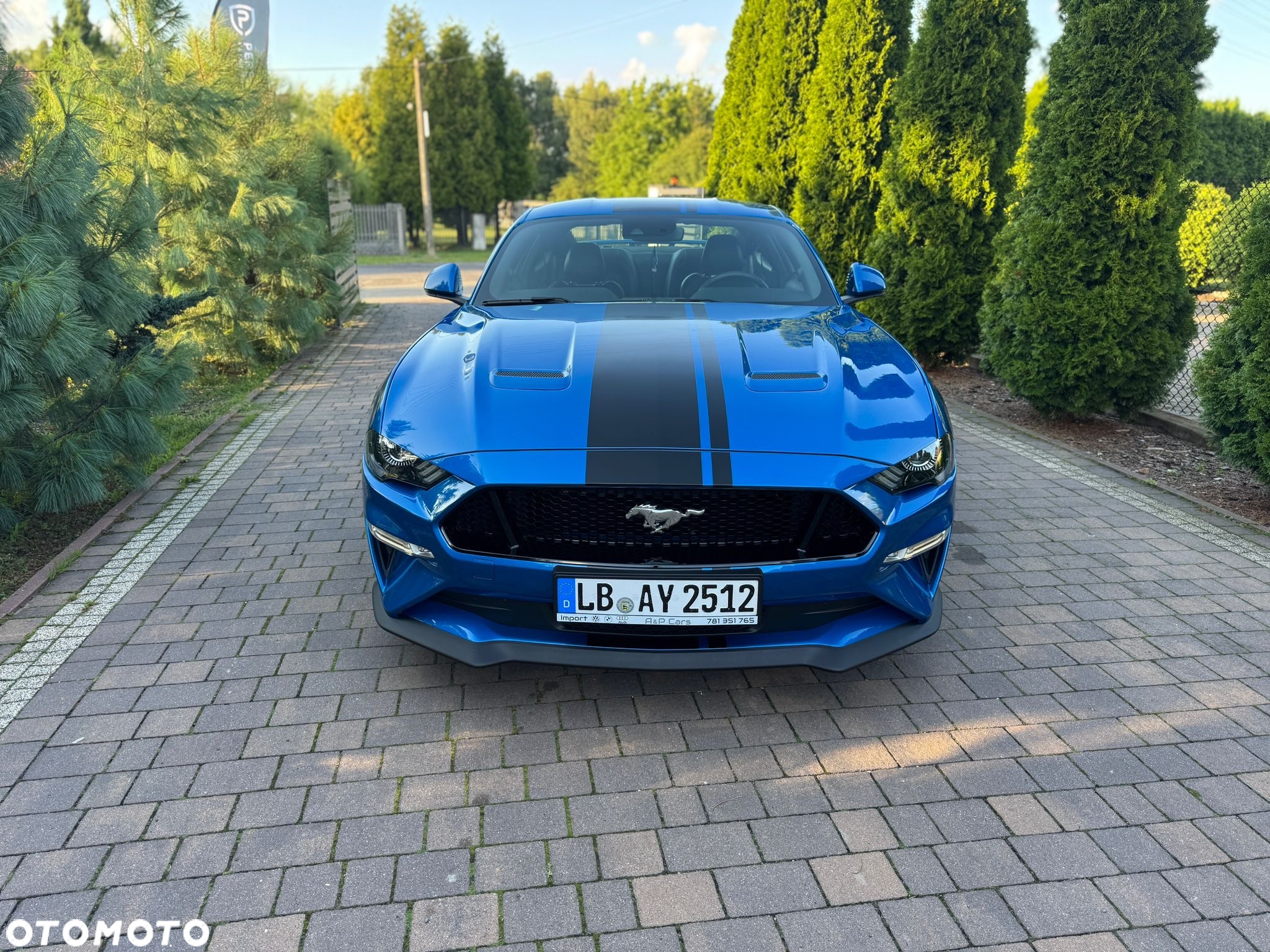 Ford Mustang Fastback 5.0 Ti-VCT V8 GT - 8