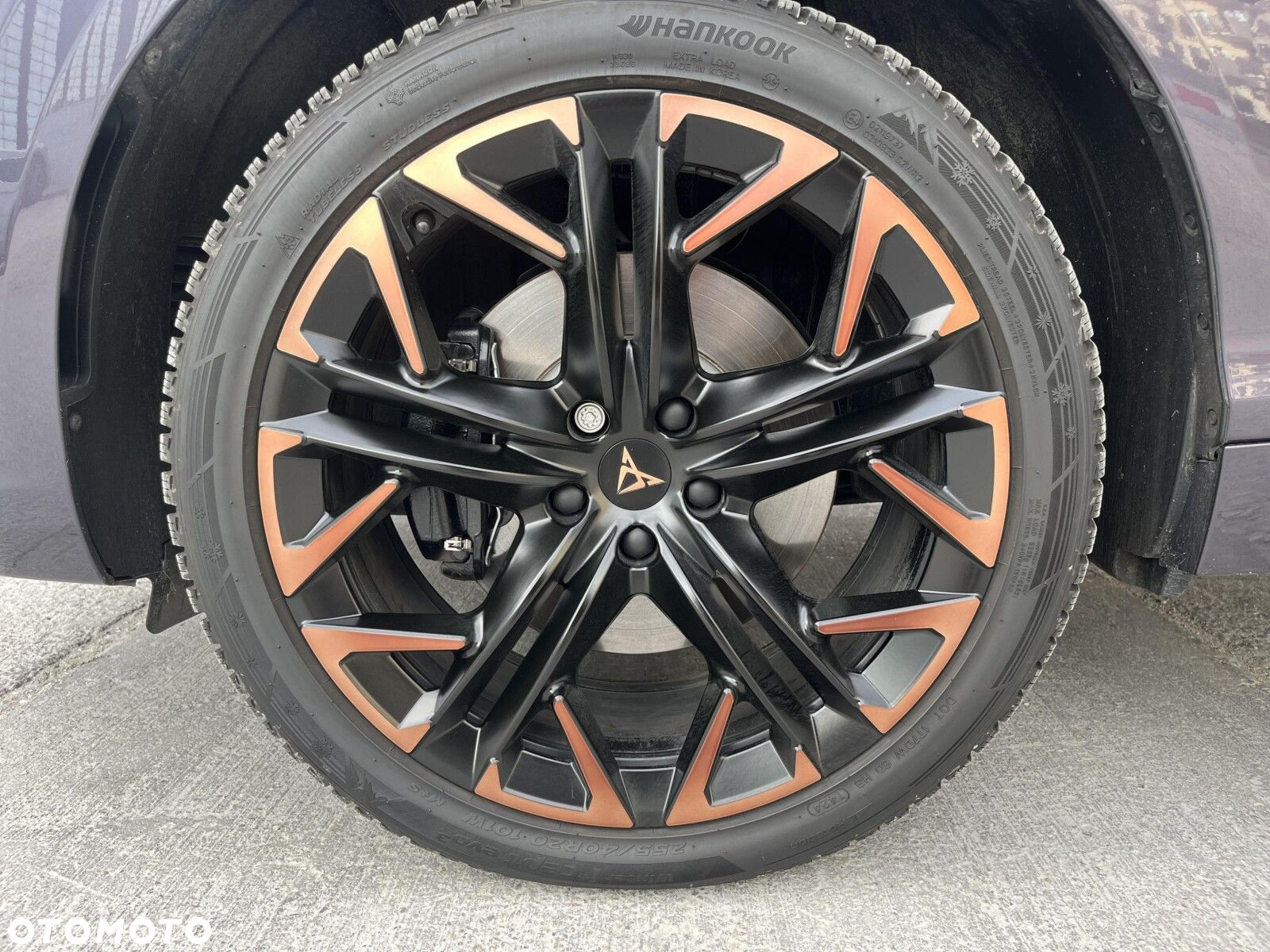 Cupra Terramar - 24