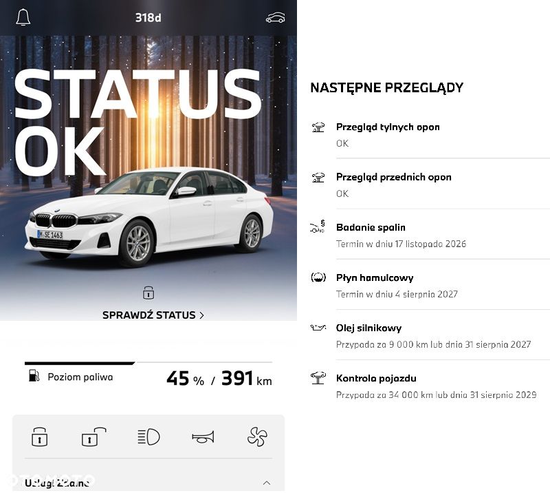 BMW Seria 3 318d - 39