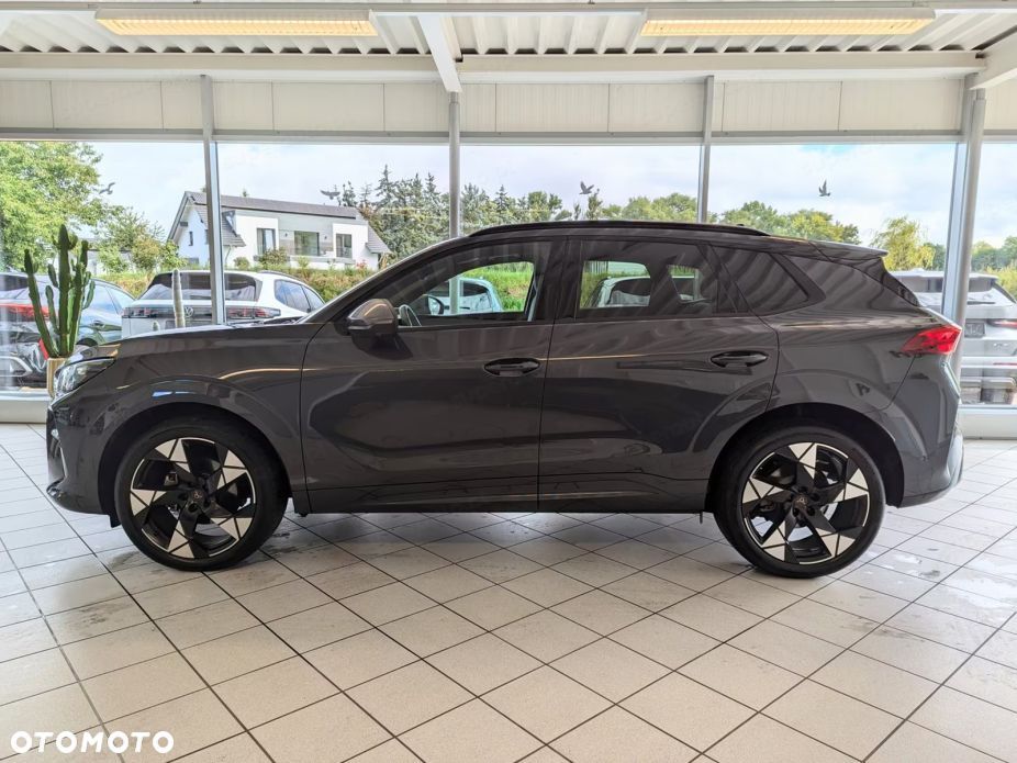 Cupra Terramar - 3