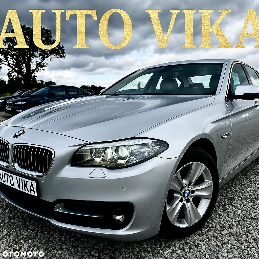 BMW Seria 5 520d - 39
