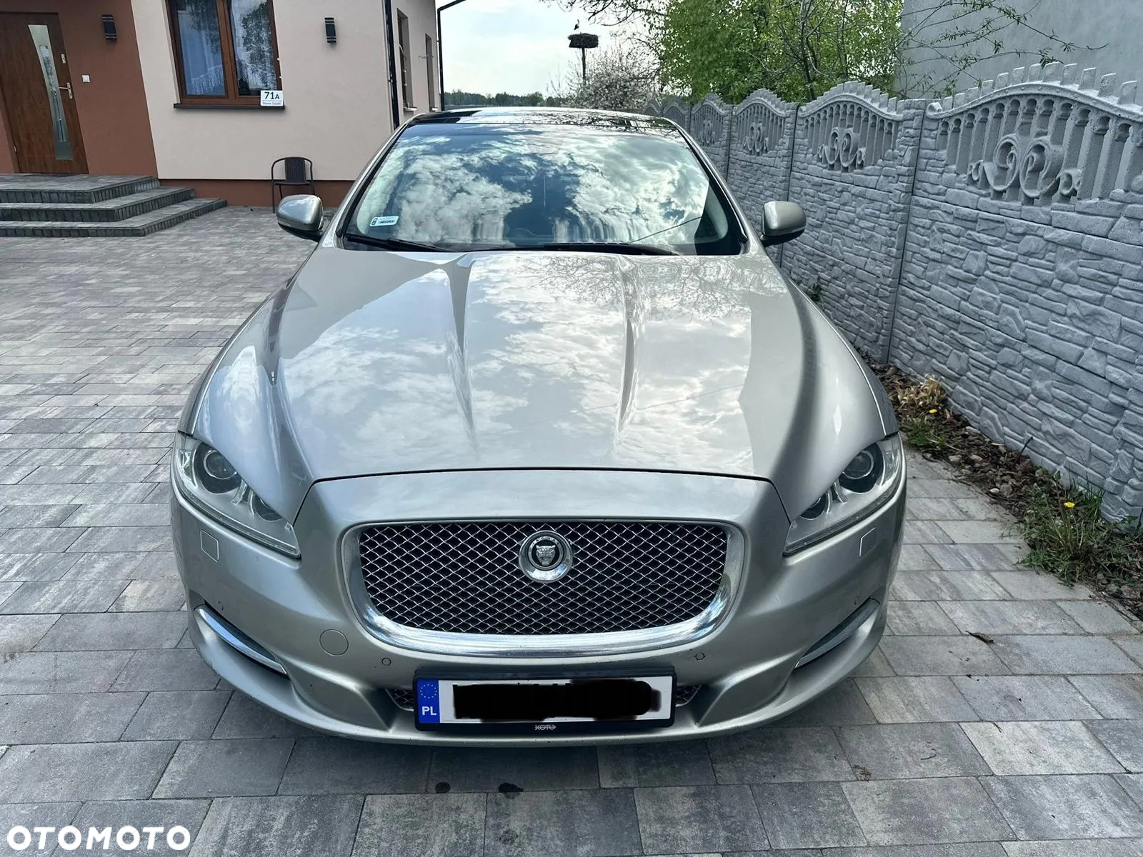Jaguar XJ - 2