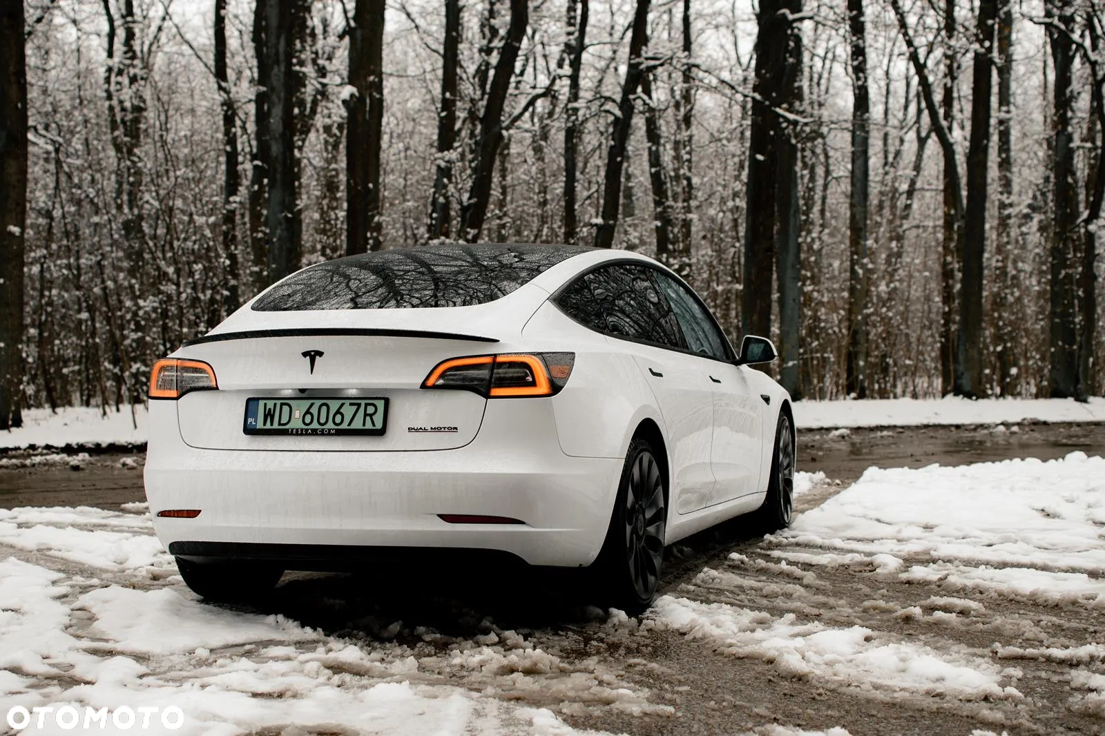 Tesla Model 3 Performance AWD - 16
