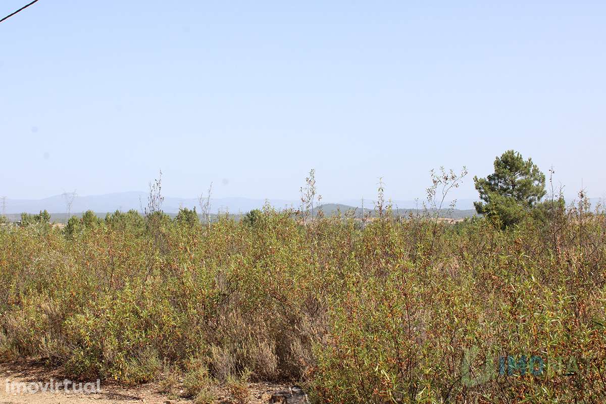 Terreno - Grande imagem: 2/26