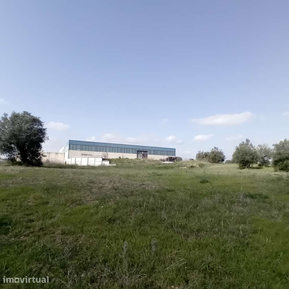 ARMAZÉM INDUSTRIAL | 5.300 m² | MOITAS - PERNES – SANTARÉM - Grande imagem: 4/14