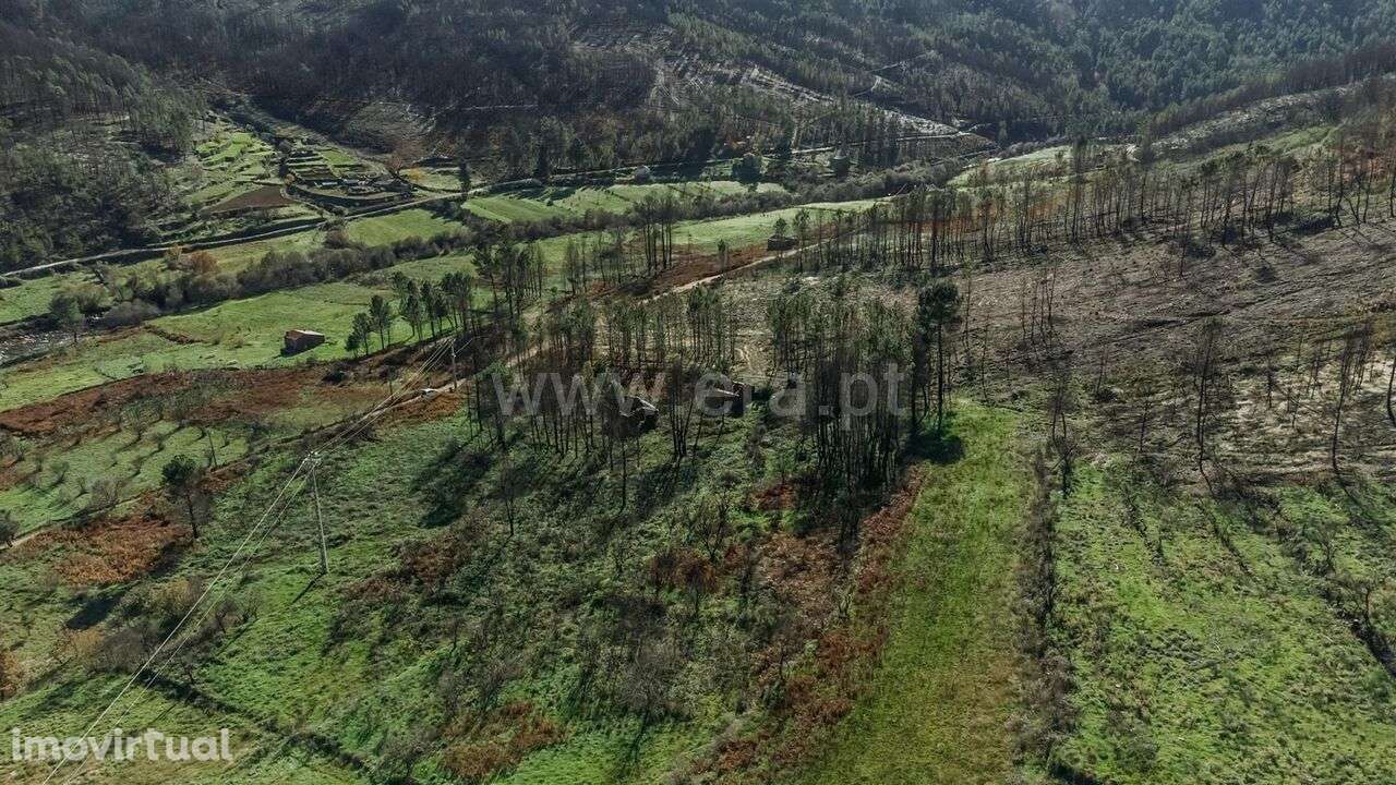 Moradia T1 / Covilhã, Serra da Estrela - Grande imagem: 3/7