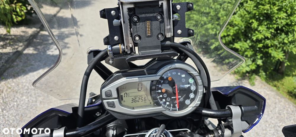 Triumph Tiger - 10