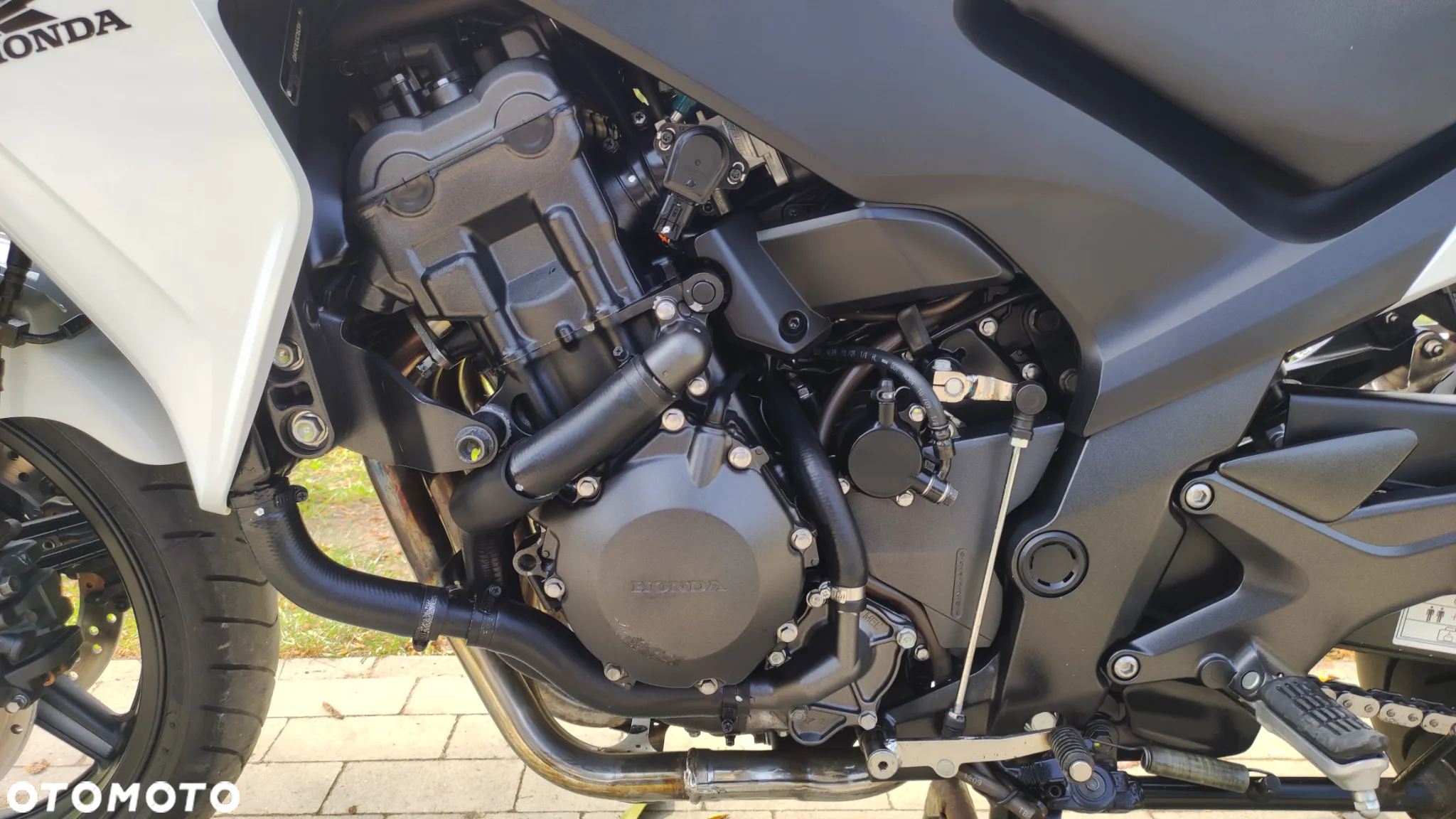 Honda CBF - 18