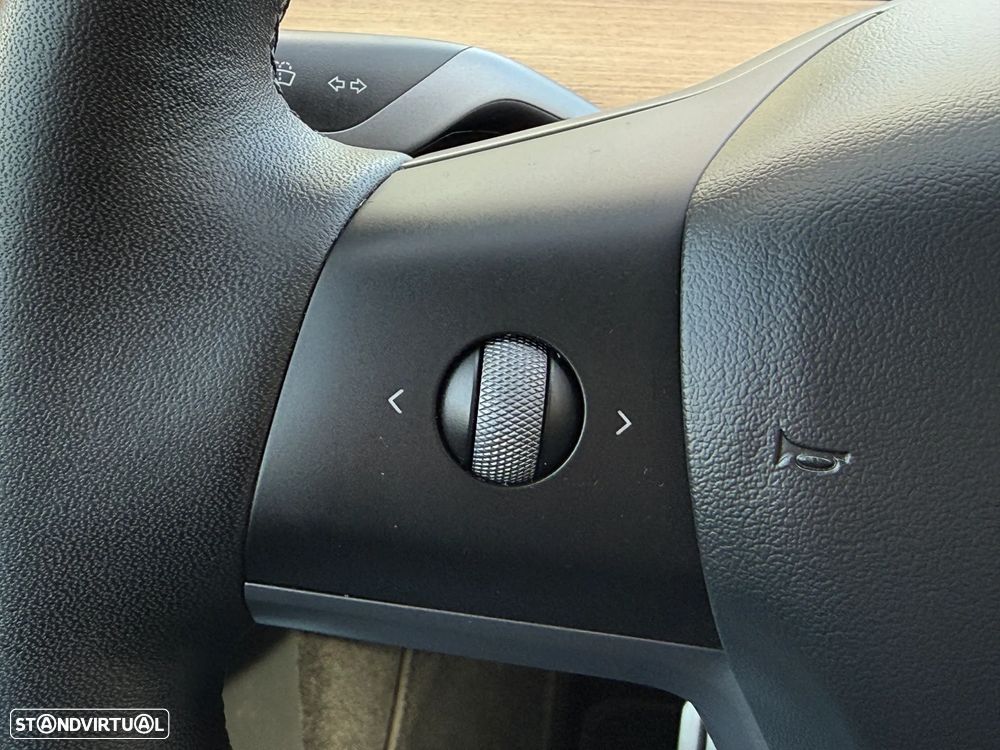 Tesla Model Y Performance Dual Motor AWD - 17