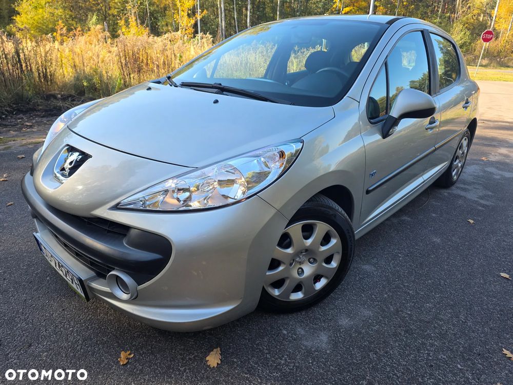 Peugeot 207 - 29