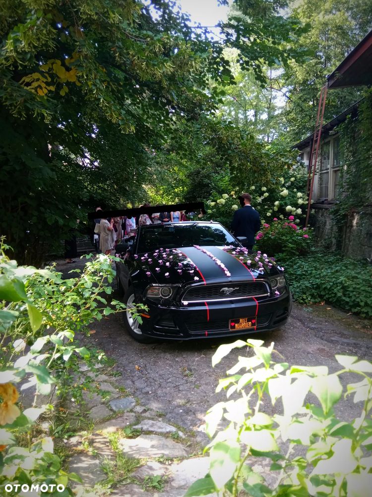 Ford Mustang 3.7 V6 - 1