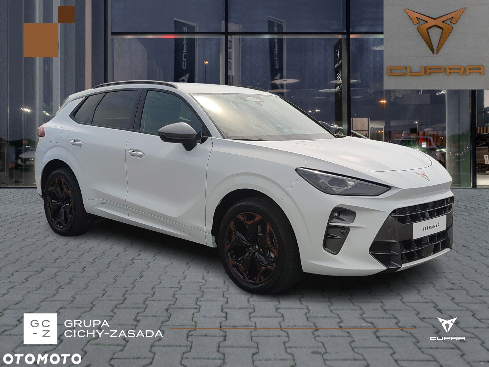 Cupra Terramar - 7