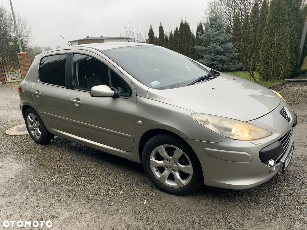 Peugeot 307 1.6 Premium - 3