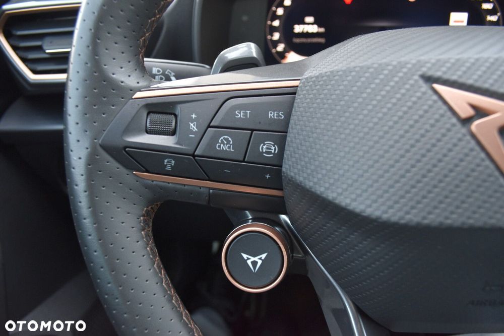 Cupra Formentor 1.5 eTSI mHEV DSG - 15